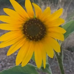 Meet your Posher, Angie